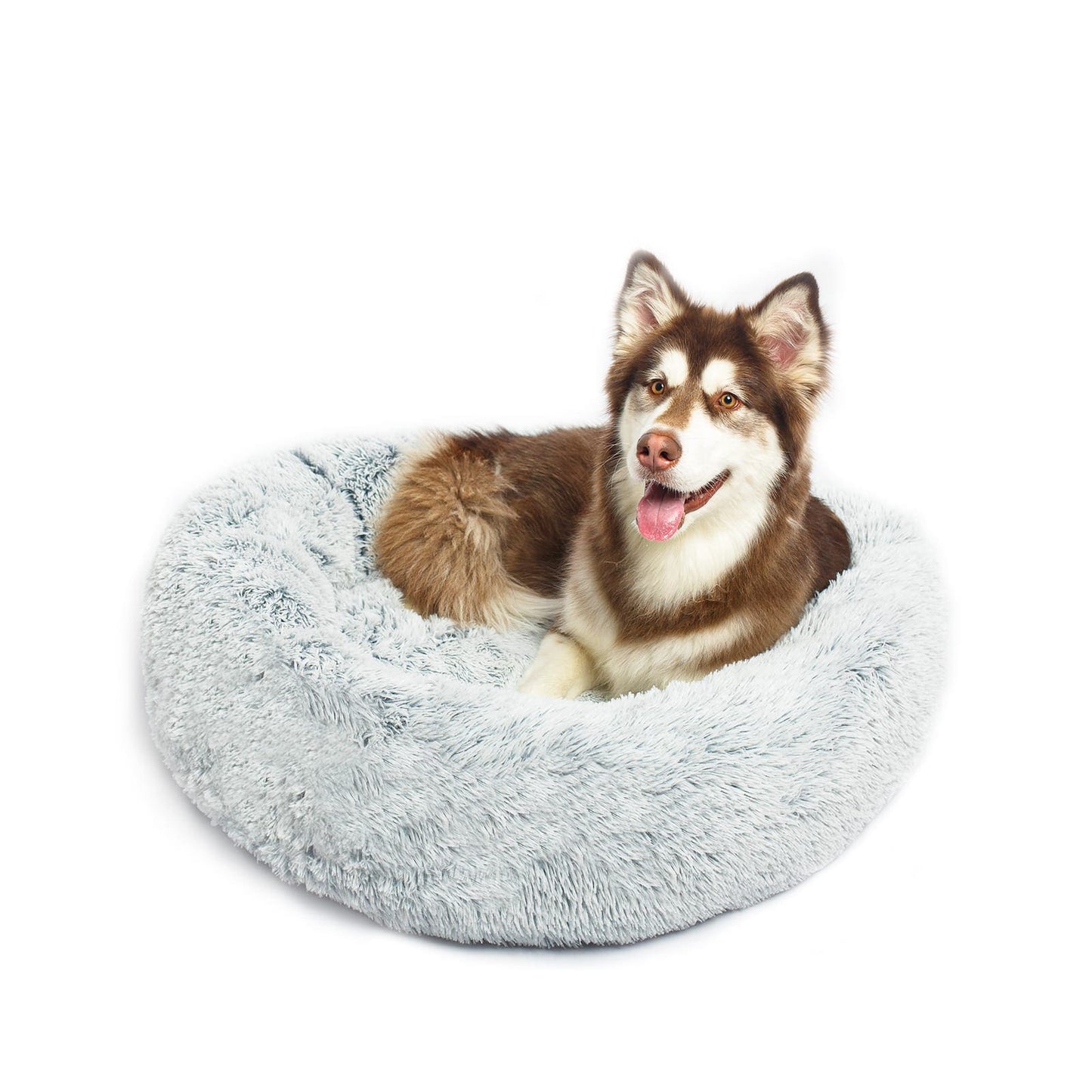 Calming Dog Bed
