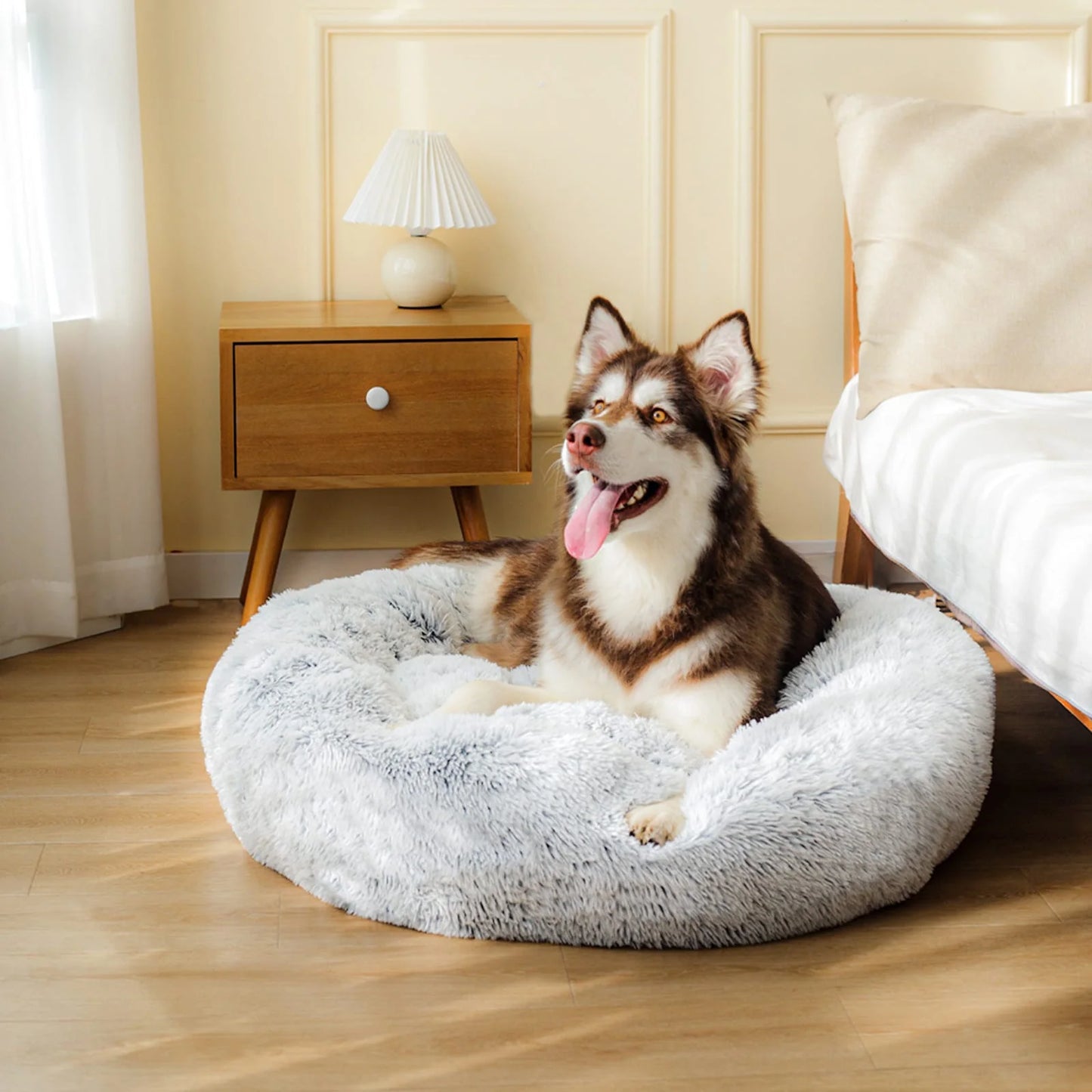 Calming Dog Bed