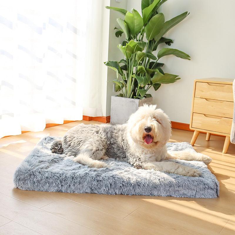 Orthopaedic Dog Bed