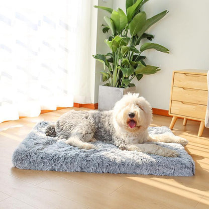Orthopaedic Dog Bed