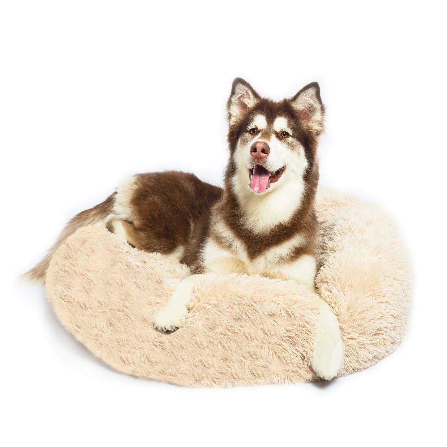 Calming Dog Bed