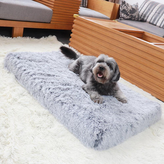 Orthopaedic Dog Bed