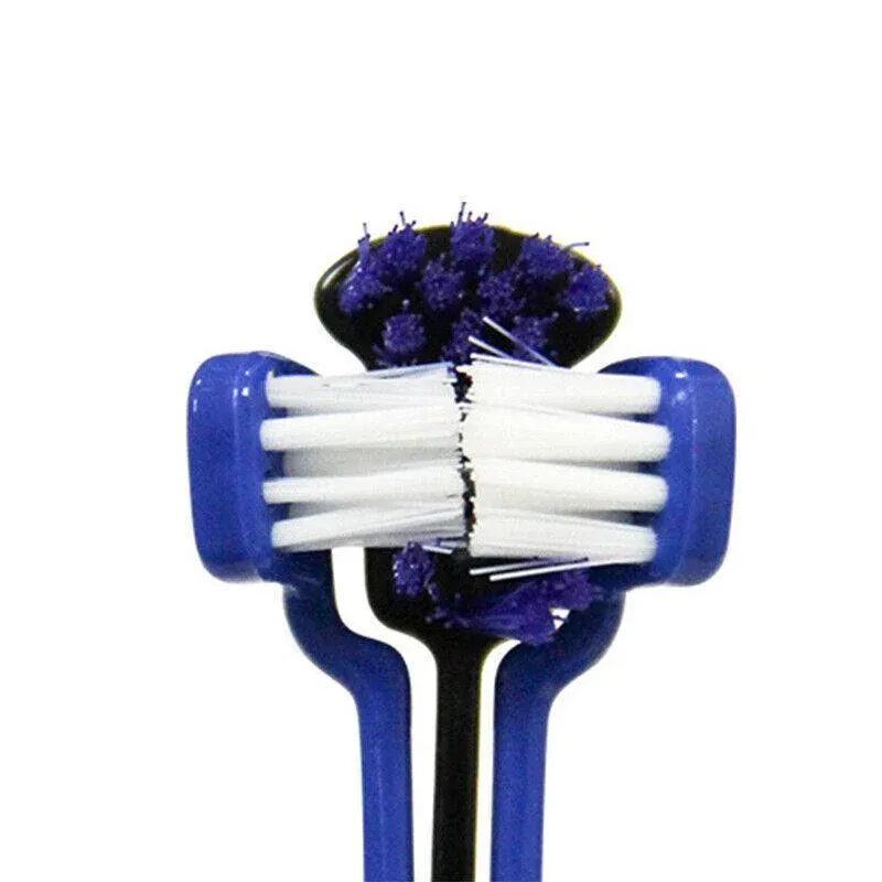 v528 toothbrush orange 31738 05.webp v528 toothbrush orange 31738 05.webp