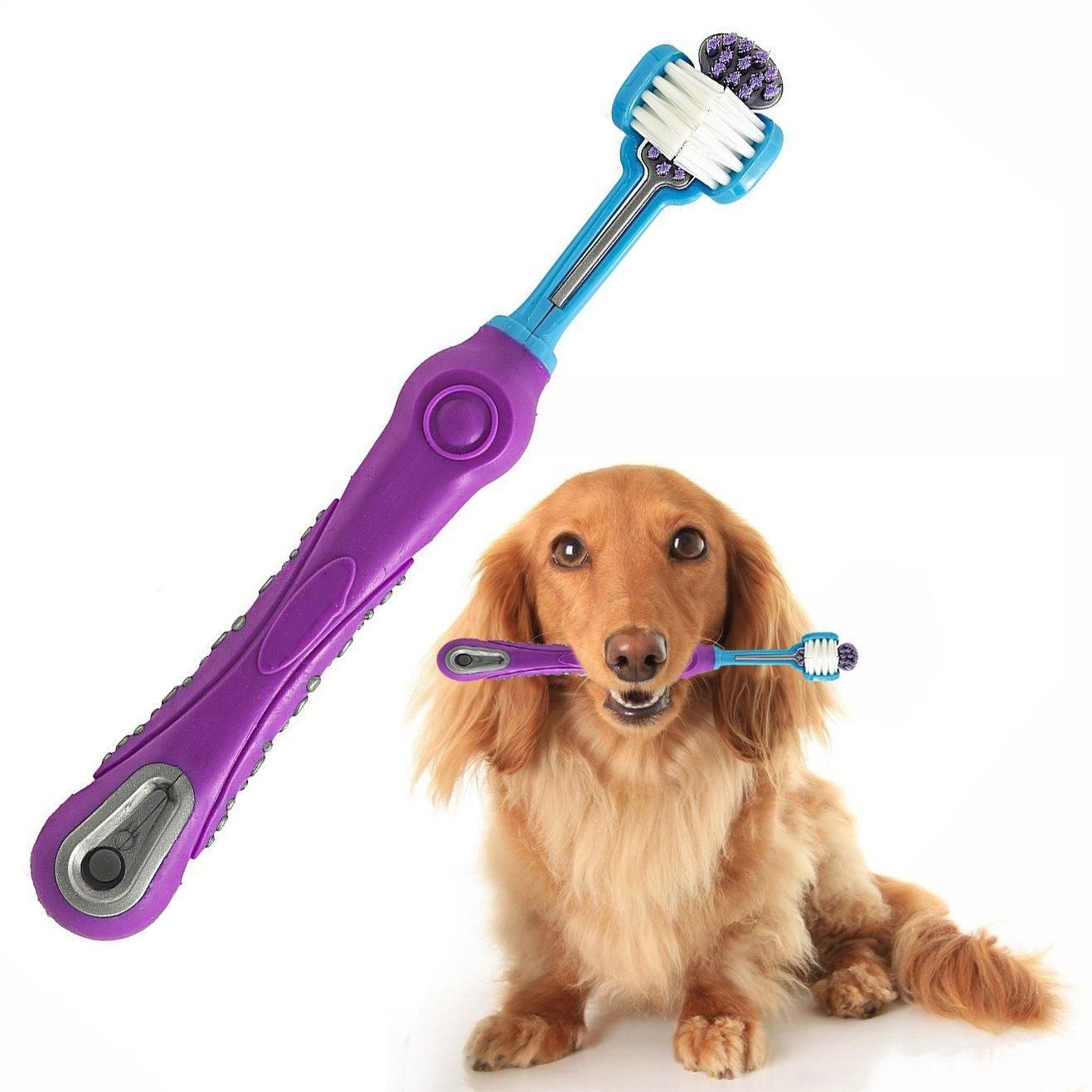 v528 toothbrush orange 31738 06.jpg v528 toothbrush orange 31738 06.jpg